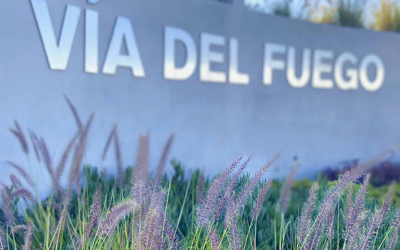 inicio-_0000s_0010_Capa 1